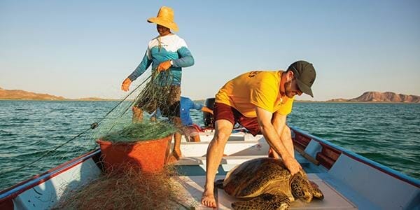 Two men in a boat on the ocean. One holding a sea turtle and the other pulling a fishing net on board.